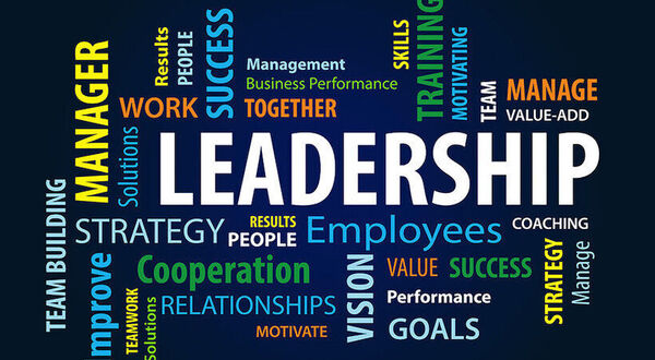 Cleaning sector leadership structures